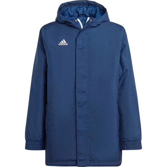 Куртка Adidas Стадионный Ent22