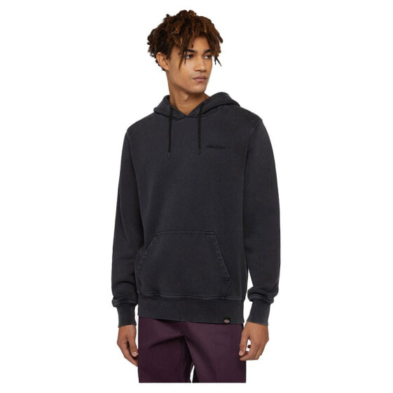 DICKIES Plentywood hoodie