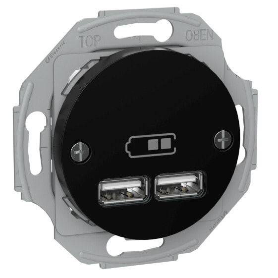 Schneider Electric USB-Ladestation sw RENOVA WDE011761 - USB 2.0