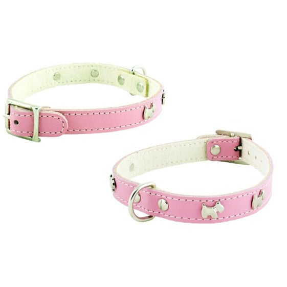 YOUPET Little Westy 20x1.4 cm Dog Collar