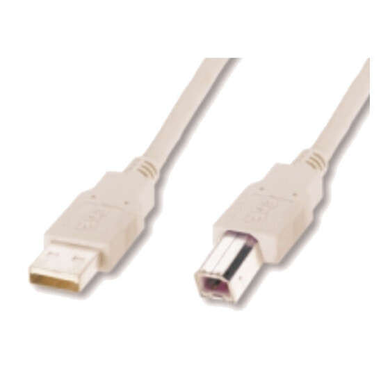 M-CAB 7001091 - 5 m - USB A - USB B - USB 2.0 - Male/Male - Grey