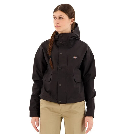 DICKIES Glacier View Jacket