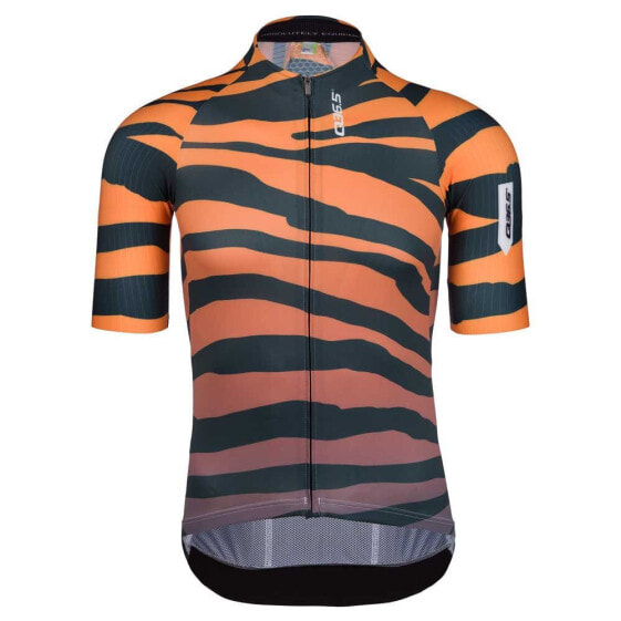 Q36.5 R2 Short Sleeve Jersey