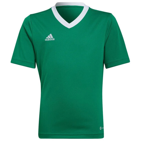 ADIDAS Entrada 22 short sleeve T-shirt