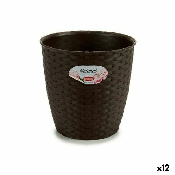 Банка Stefanplast Пластик Шоколад 19 x 17,5 x 19 cm (12 штук)