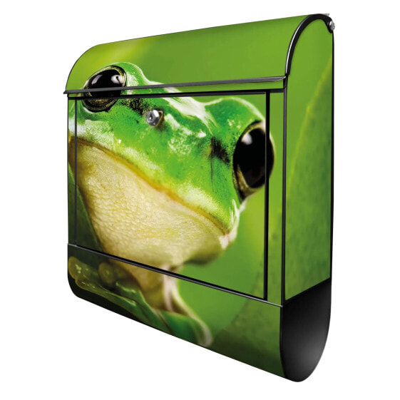 Briefkasten Stahl Frosch