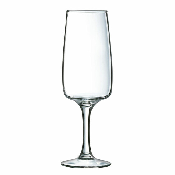 Бокал для шампанского Luminarc Equip Home Прозрачный Cтекло (17 CL)