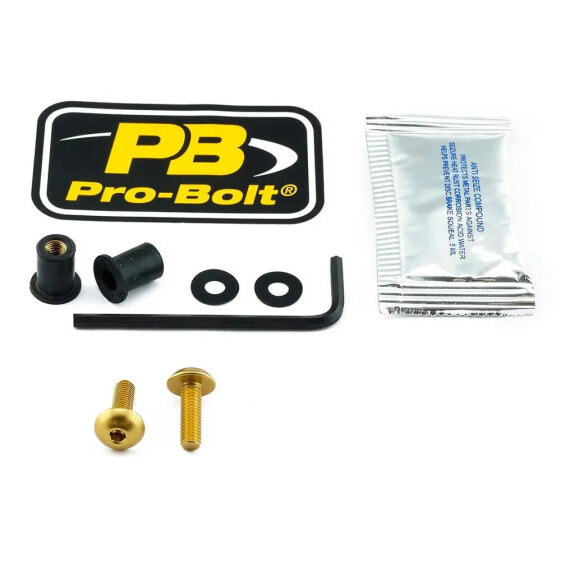 PRO BOLT SCR 2 SK2G Windshield Screws