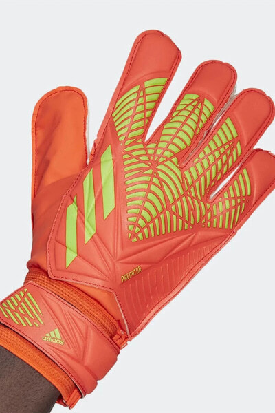 Вратарские перчатки Adidas Futbol Kaleci Pred Gl Trn Hc0604