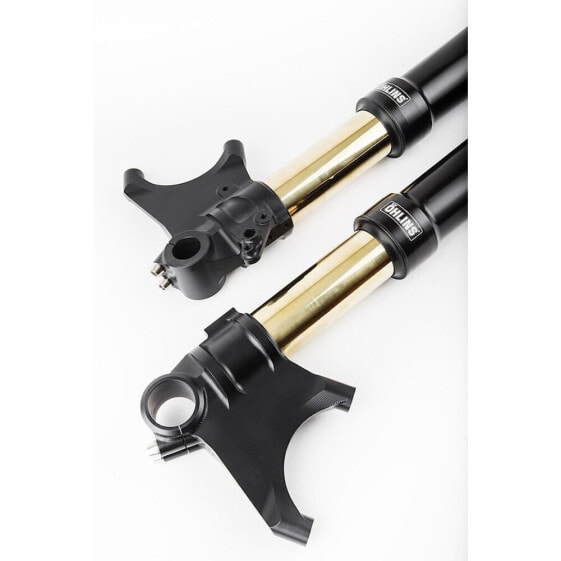 ÖHLINS FGRT200 Ducati Diavel 2011-2018 front fork