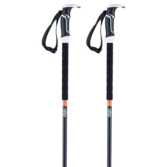 BCA Scepter Fixed Poles