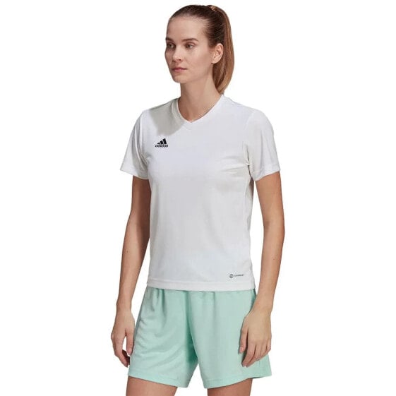 ADIDAS Entrada 22 short sleeve T-shirt