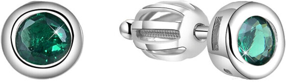 Silver earrings AGUP1562S