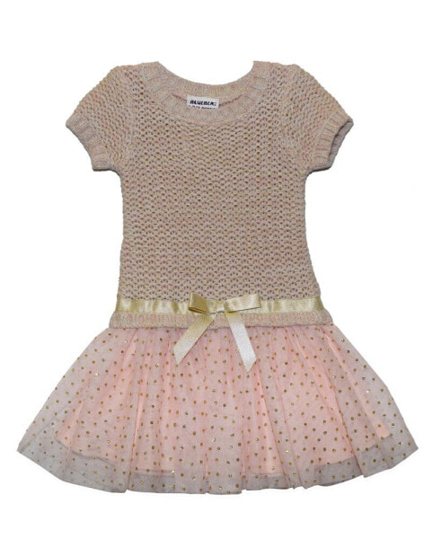Baby Girls Iridescent Sweater and Tulle Skirt Dress