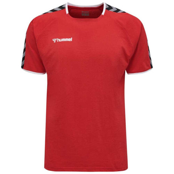 Футболка тренировочная Hummel Authentic Training Short Sleeve T-Shirt