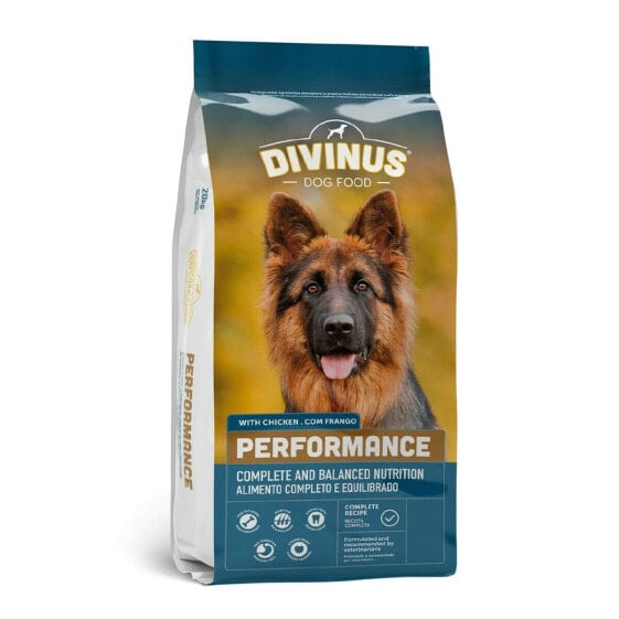 Фураж Divinus German Shepherd Для взрослых Курица 20-40 Kg 10 kg 20 kg