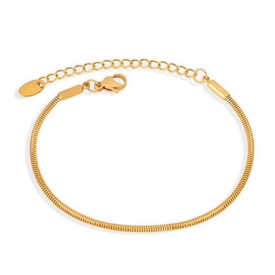 Women´s gold-plated bracelet Hádek VAAXE509