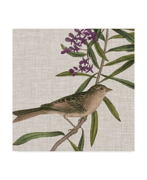 John James Audubon Avian Crop IX Canvas Art - 20" x 25"