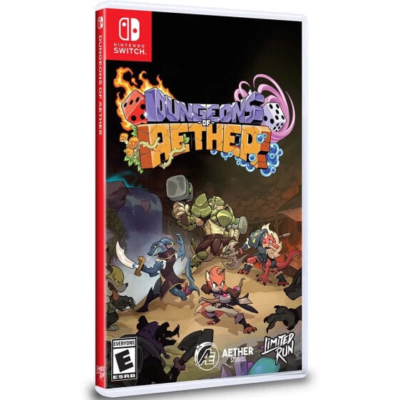 NINTENDO GAMES Switch Dungeons of Aether - Import