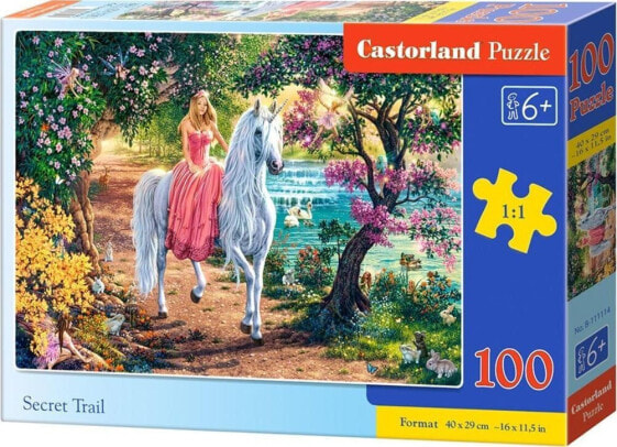 Castorland Puzzle 100 Secret Trail CASTOR