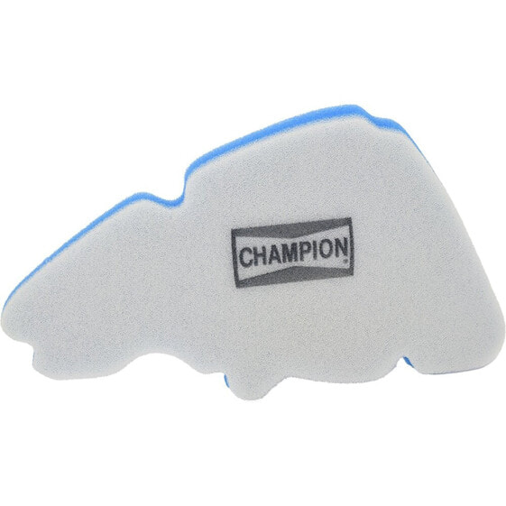 CHAMPION PARTS CAF4204DS air filter