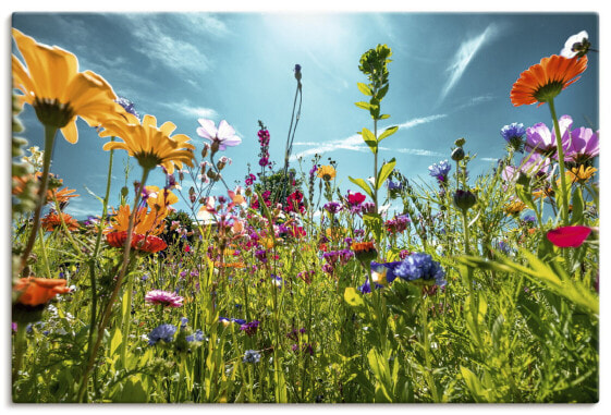 Leinwandbild buntes Blumenfeld