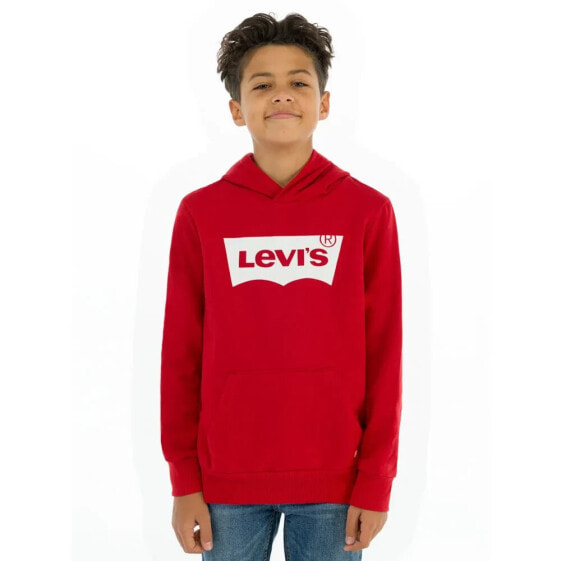 LEVI´S ® KIDS Batwing Screenprint hoodie