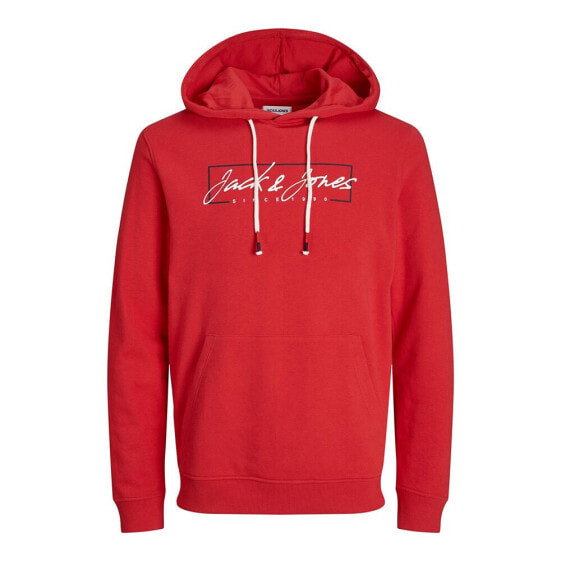 JACK & JONES 12254870 Zuri hoodie