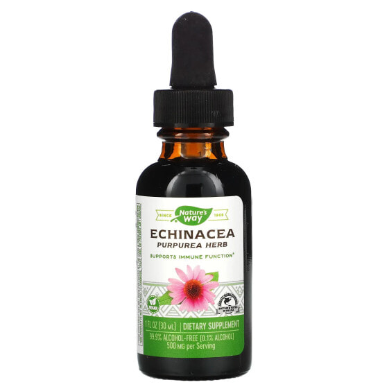Echinacea, 500 mg, 1 fl oz (30 ml)