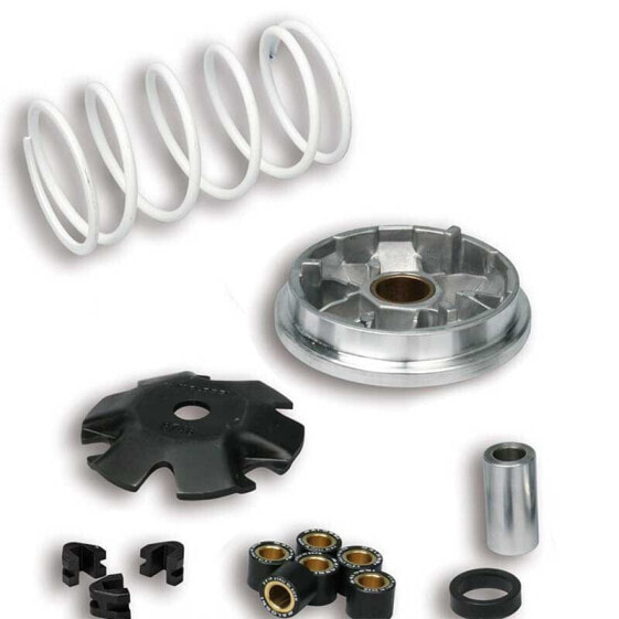 MALOSSI 518752 Variator Kit