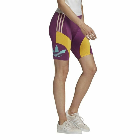 Шорты спортивные Adidas Dark violet для женщин