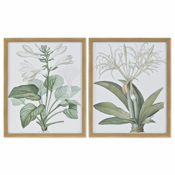Картина DKD Home Decor 43 x 3 x 53 cm Ботанические растения (2 штук)