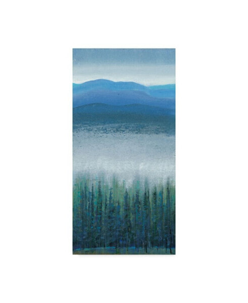 Tim Otoole Valley Fog I Canvas Art - 15" x 20"