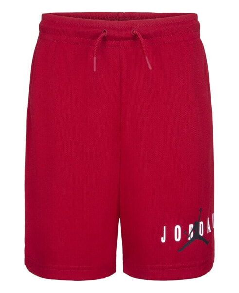 Синие детские шорты для мальчиков Jordan Big Boys Essentials Graphic Mesh Shorts