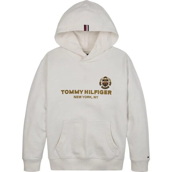 TOMMY HILFIGER Ny Crest hoodie refurbished