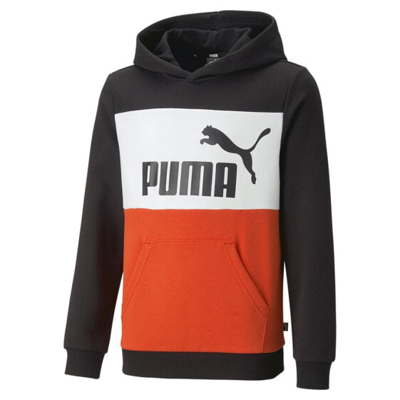PUMA Ess Colorblock hoodie