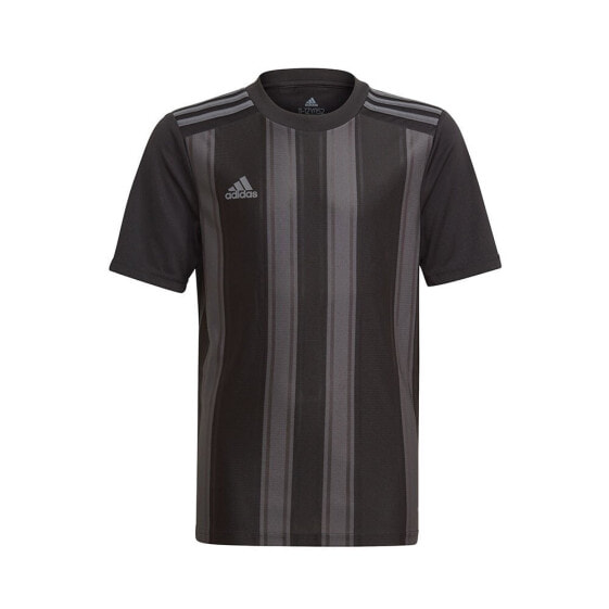 ADIDAS Striped 21 short sleeve T-shirt