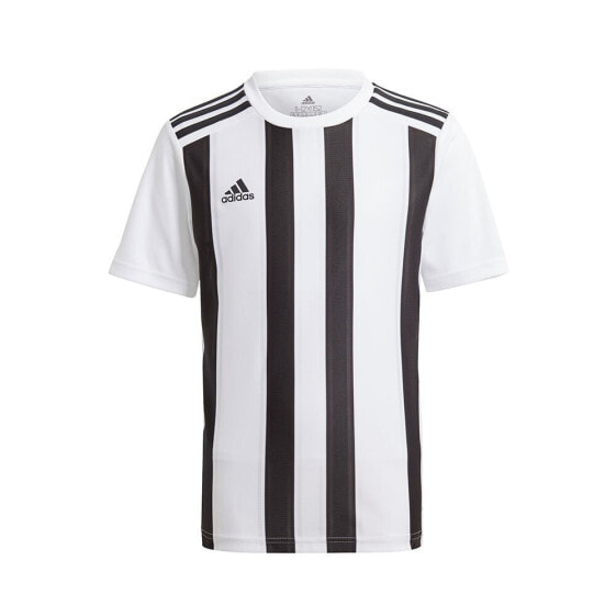 ADIDAS Striped 21 short sleeve T-shirt