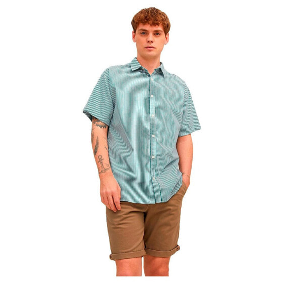 JACK & JONES Aloha Mix short sleeve shirt