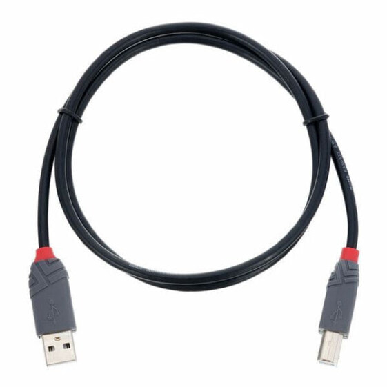 Шнур USB 2.0 Typ A/B 1м Lindy