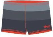 Плавательные шорты для мужчин AquaWave STRIPE GREY STRIPES