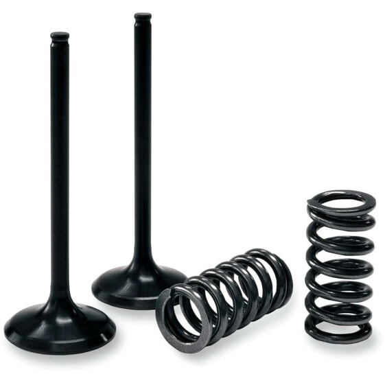 PROX 28.SES2414-1 Engine Valve&Springs