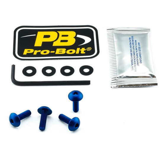 PRO BOLT SCR 4 SK416B Windshield Screws