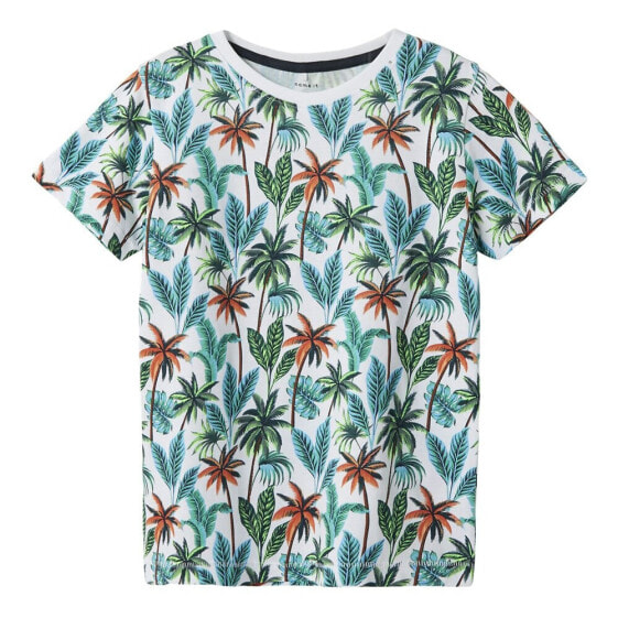 NAME IT Zanko short sleeve T-shirt