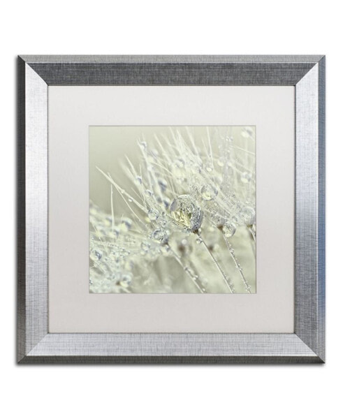 Cora Niele 'Dandelion Dew III' Matted Framed Art - 16" x 16" x 0.5"