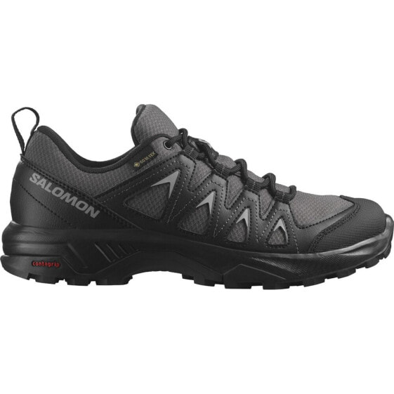 SALOMON X Braze Goretex hiking shoes