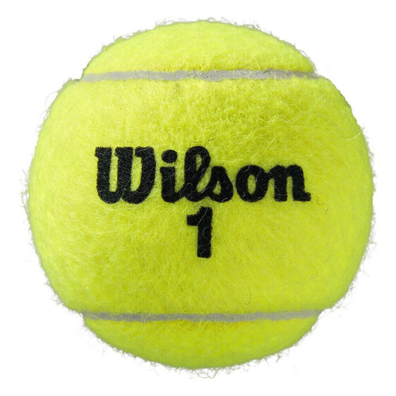 Мячи для большого тенниса Wilson Roland Garros All Court 4