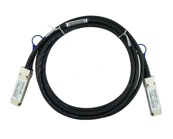 BlueOptics QSFP28-DAC-3M-IT-BL - 3 m - QSFP28 - QSFP28 - Male/Male - Black - 100 Gbit/s