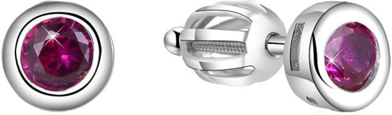 Silver earrings AGUP1561S
