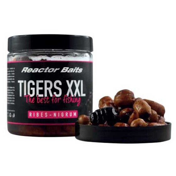 REACTOR BAITS XXL Ribes Nigrum 150g Tigernuts